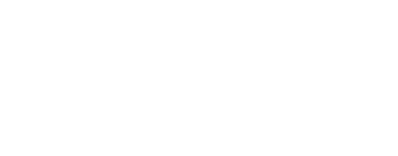 LUDA Partners