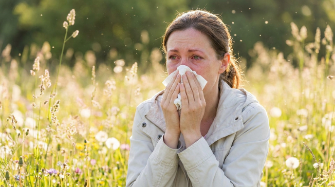 hayfever pharmacy